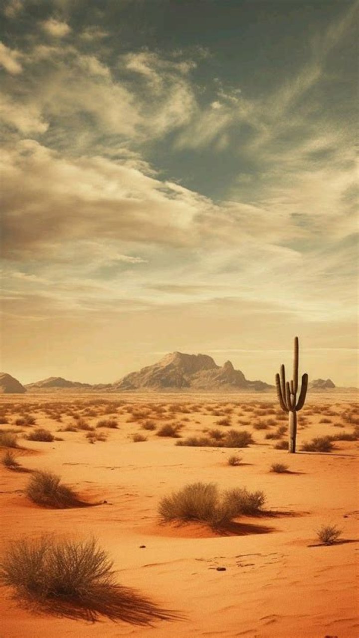 Pin on Bg