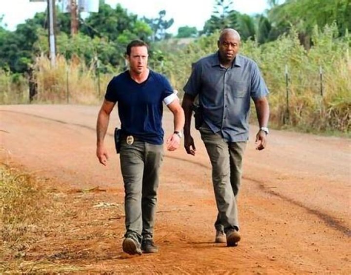 Pin on Hawaii 50