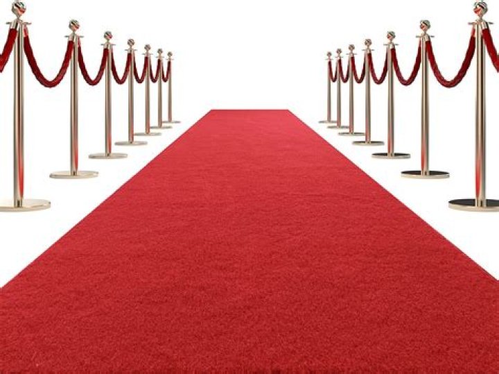 Pin on Red Carpet Events