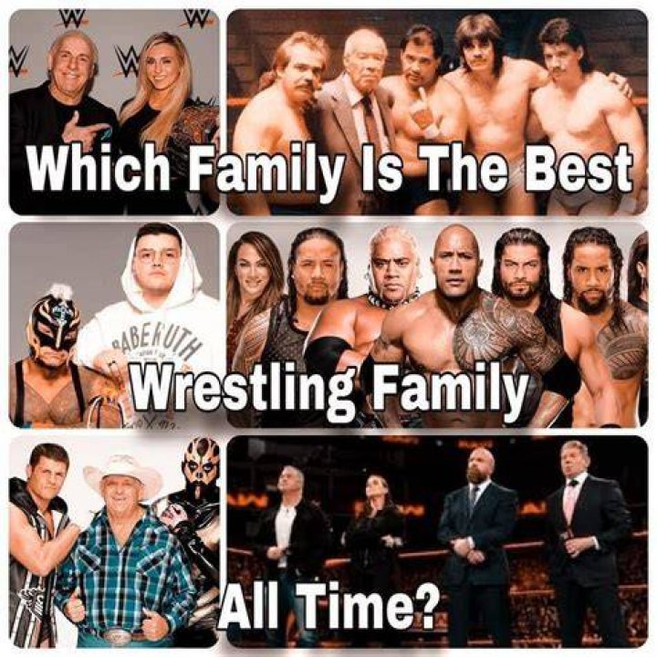 Pin on WWE FAMILY