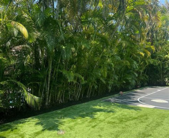 Powered by Plants Fort Lauderdale Illustrated