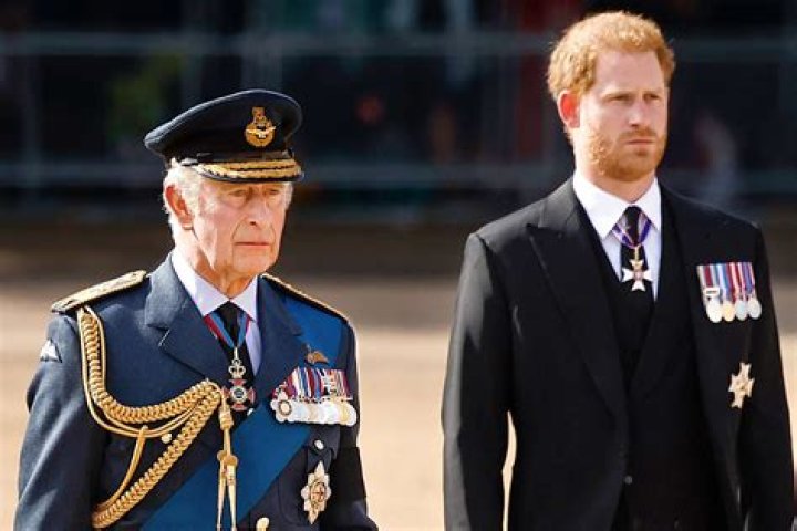 Prince Harry gives William a wedgie and Prince Louis armpit farts God