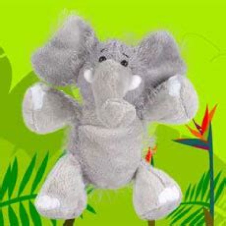 Quia Fun Dimensions by Bella