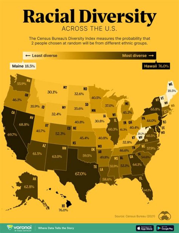 Race, Diversity, and Ethnicity in Valdosta, GA