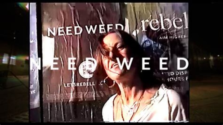 Rebelle X Honeysuckle Artist Series Geraldine Hessler YouTube