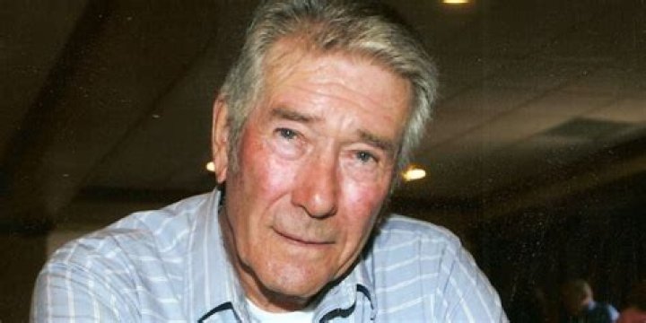 Robert Fuller Net Worth Net Worth Lists