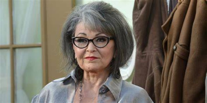 Roseanne Barr Net Worth Net Worth Lists