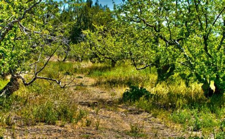 Rugged Dirt Path Free Stock Photo Public Domain Pictures