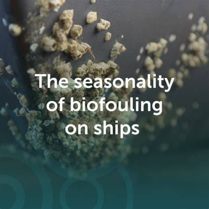 Ryan Reid Biofouling Intern Roger Williams University LinkedIn