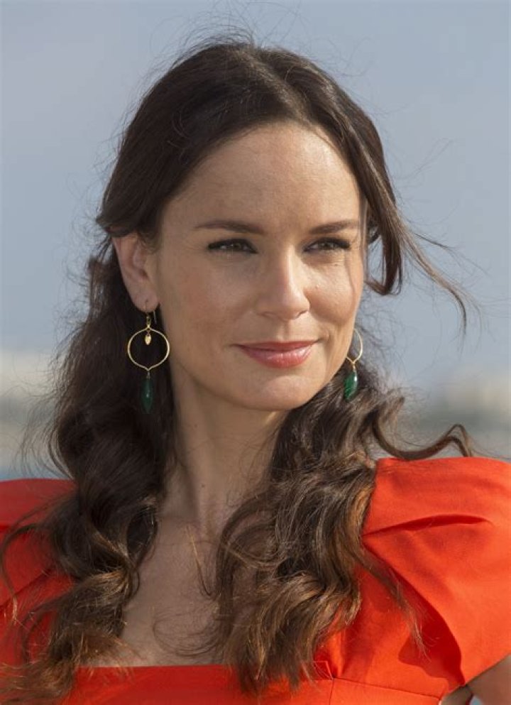 Sarah Wayne Callies summary Film Actresses