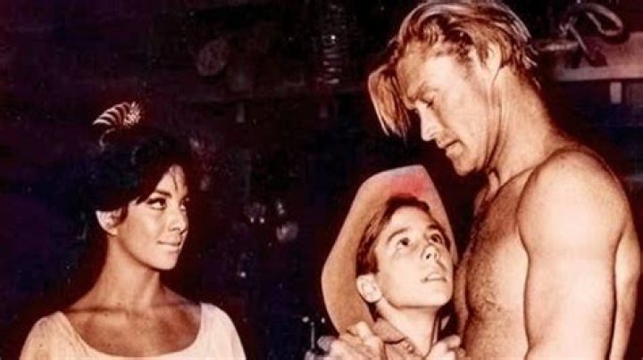 Secrets Of The Rifleman TV Series More Than Just Guns And Good Times