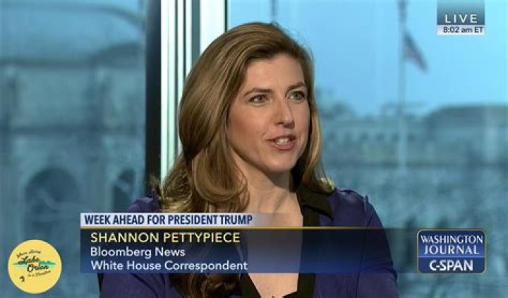 Shannon Pettypiece is a popular American journalist. Currently, Shannon