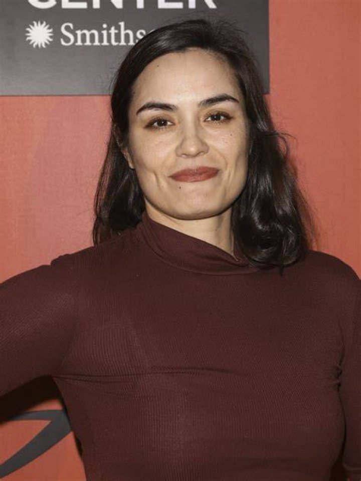 Shannyn Sossamon 'Wayward Pines' Panel TCA Press Tour in Pasadena