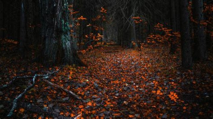 Share 61+ dark autumn wallpaper in.cdgdbentre