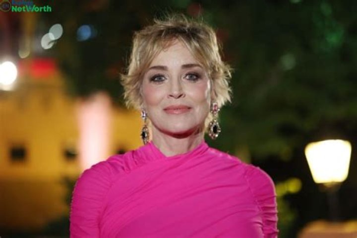 Sharon Stone Net Worth 2024 (Yearly Earning With Sources)