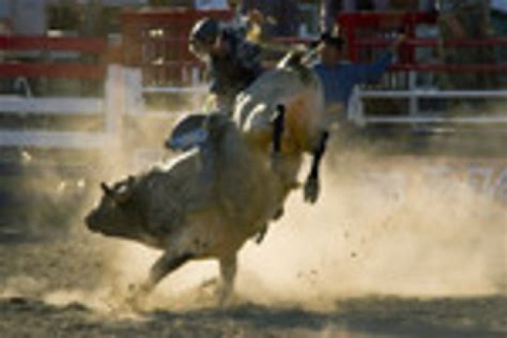 Shenandoah Pro Rodeo in Galena July 5th & 6th