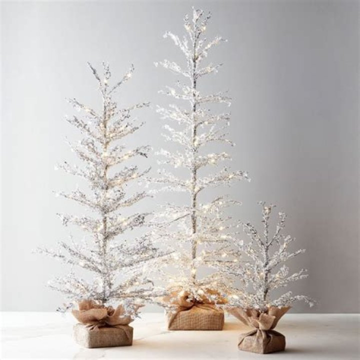 Shop Modern Christmas Trees