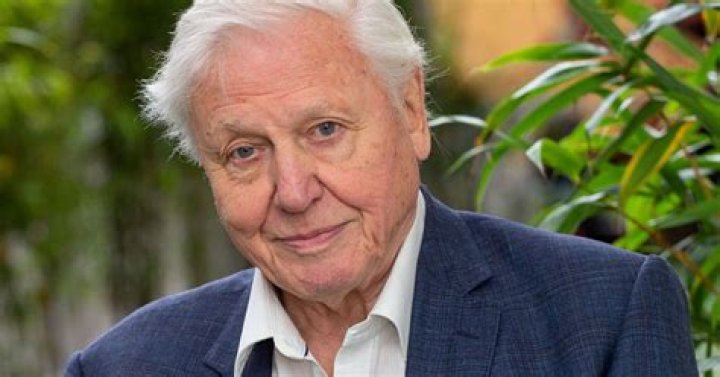 Sir David Attenborough to voice new Netflix series Our Mirror