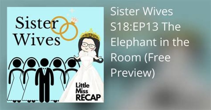 Sister Wives S18 EP13 The Elephant in the Room Full Episode recap