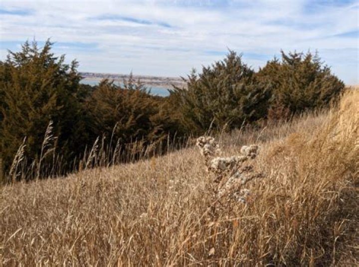 South Dakotans may soon be able to carry concealed handguns without a