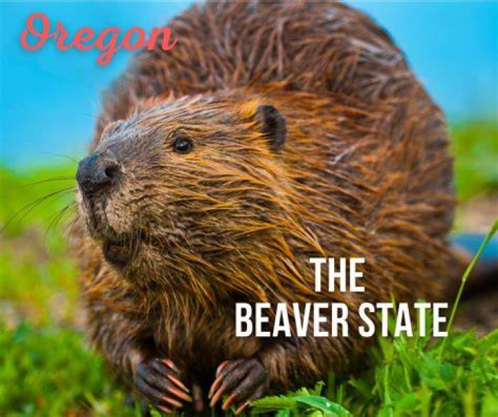 State Nickname Beaver State State
