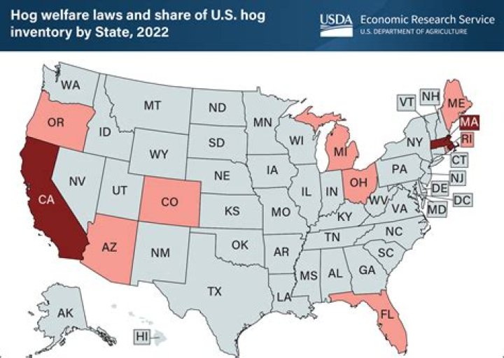 States Ending UltraGenerous Welfare Are Doing Better in One Big Way