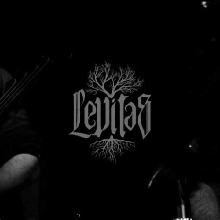 Stream Lance Levitas music Listen to songs, albums, playlists for