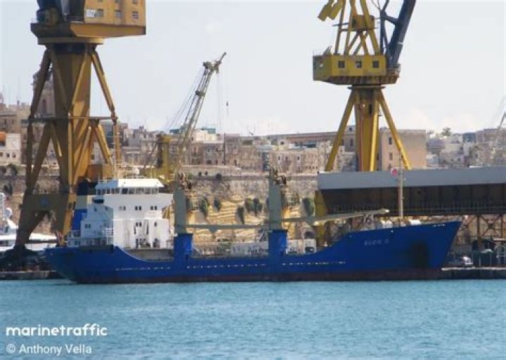Suzie Q IMO 8205204
