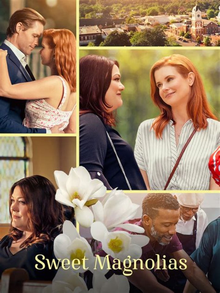 Sweet Magnolias Rotten Tomatoes