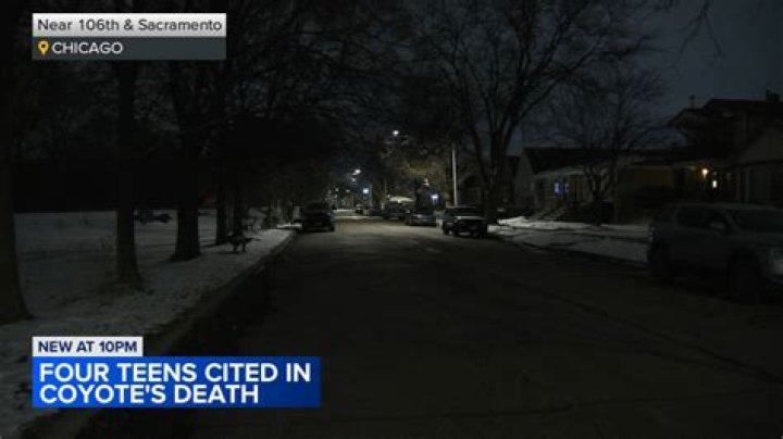 Teens charged in death of ballplayer appear in court