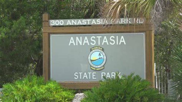 The Mather to Host Anastasia Amoroso Evanston Review