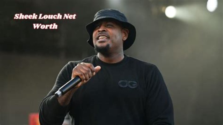 The Net Worth Of Sheek Louch Thales Learning & Development