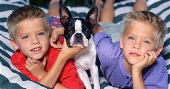 The Sprouse Twins today Inside their life now, at 30