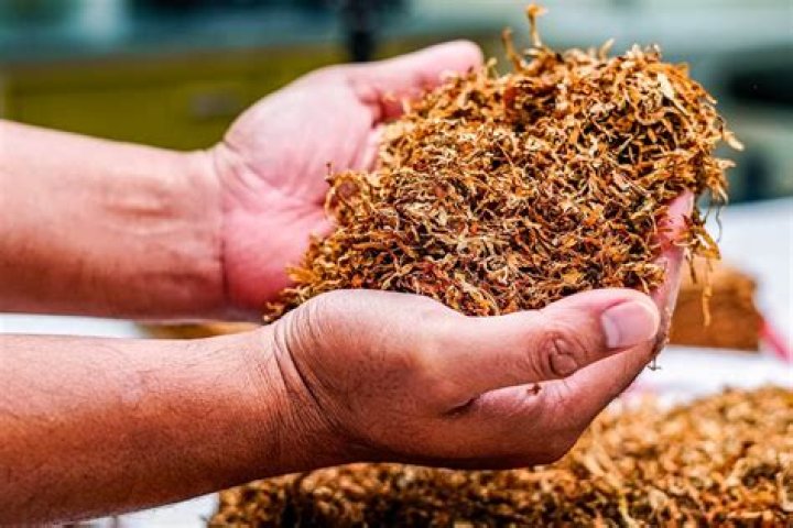 The Tradition Of Chewing Tobacco In Baseball The Sports Daily