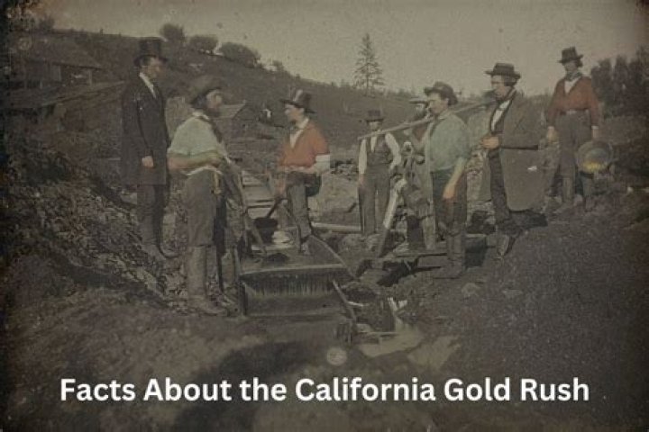 The Truth About Gold Rush's Rick Ness