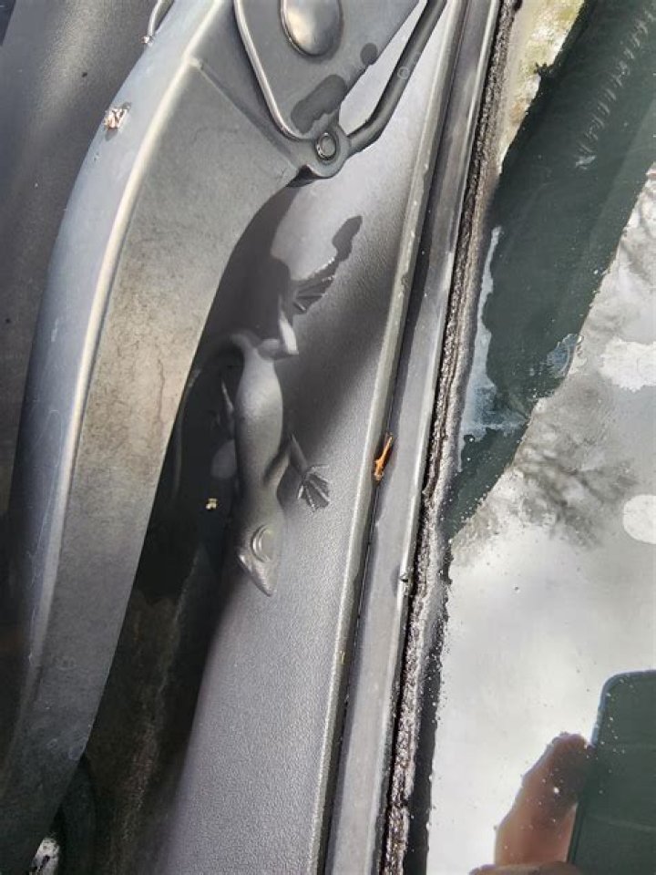 TIL that some Jeeps have "Easter Eggs" of designs of animals and other