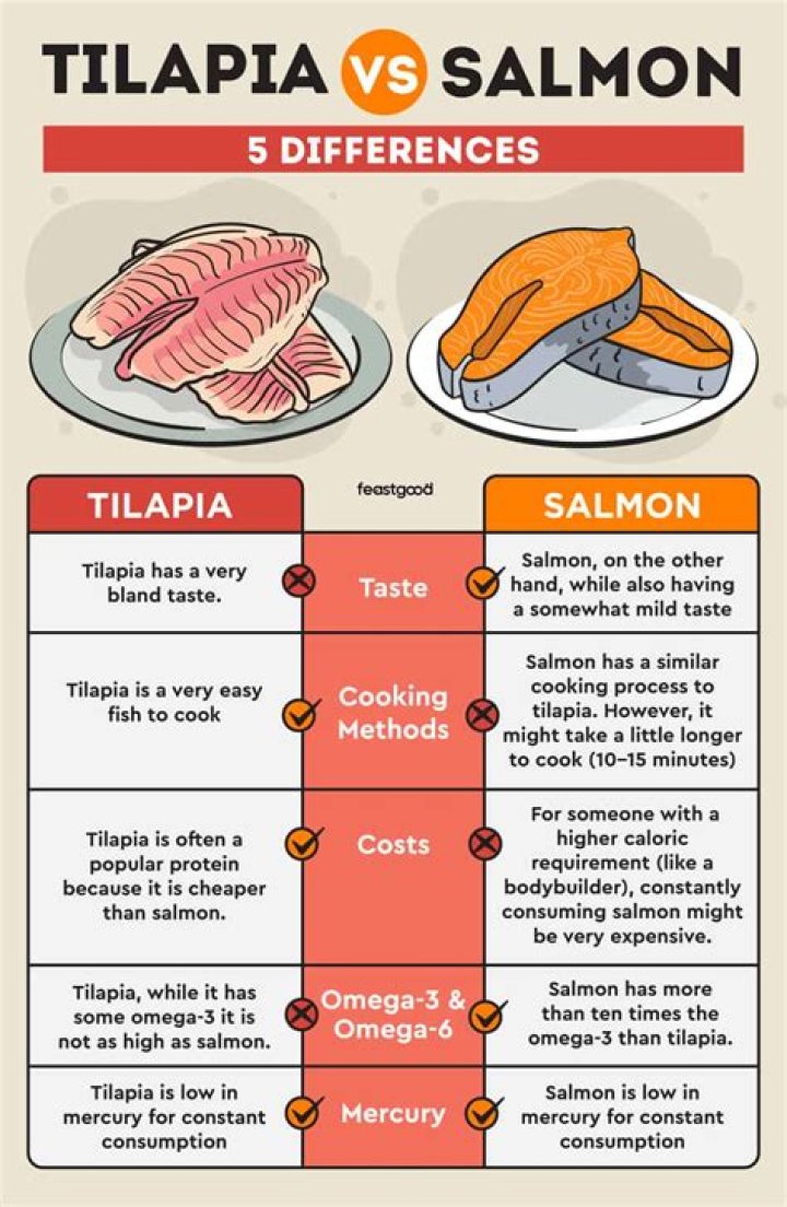 Tilapia vs. Salmon 5 Differences & Which Is Better?