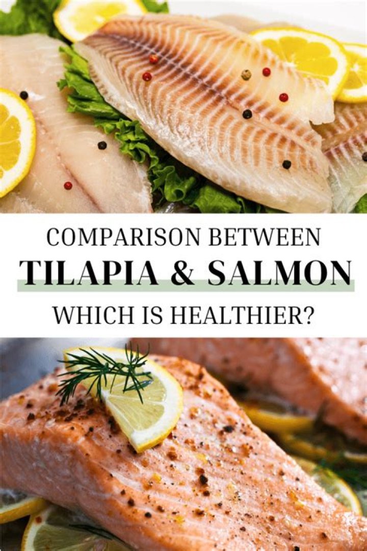 Tilapia vs. Salmon 7 Differences Explained Fished That