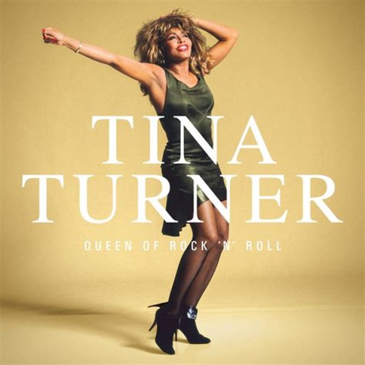 Tina Turner's Son Ronnie Dead at 62 Parade Entertainment, Recipes