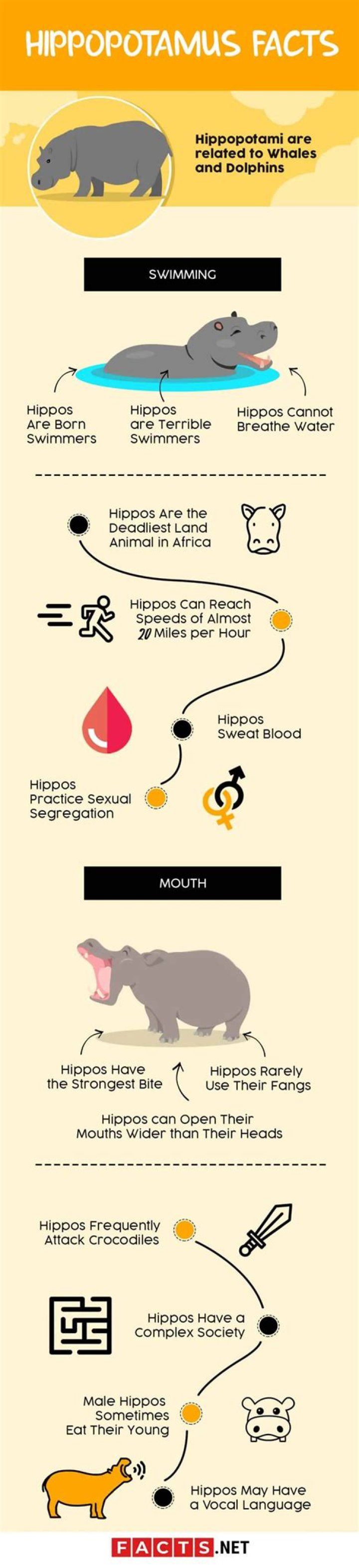 Top 15 Hippopotamus Facts Ancestry, Diet, Habitat & More