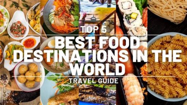 Top 5 Best Food For Iguanas Expert Reviews of 2020