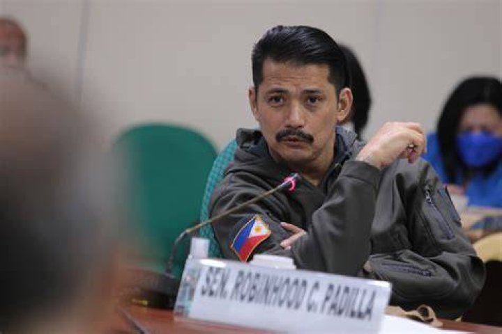 Top 85+ imagen robin padilla educational background thpthoangvanthu