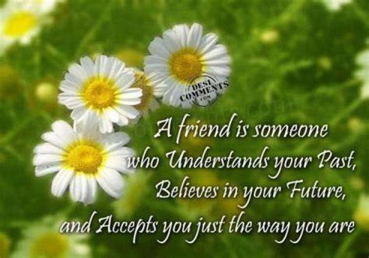 Tribute For Friend Quotes. QuotesGram