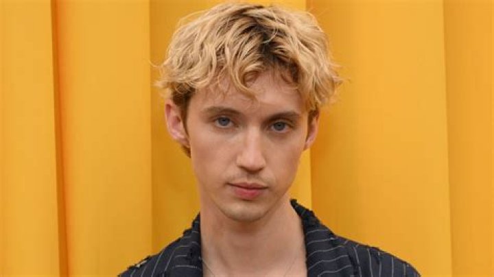 Troye Sivan's Handling His AlmostNude Photo Scandal Like A Pro iHeart