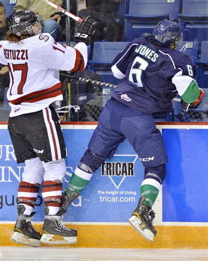 Tyler Bertuzzi says he's meaner than uncle, Todd