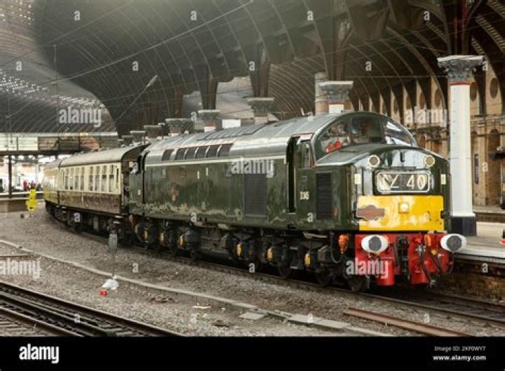 Uncover Whistling Diesel's Net Worth: Secrets And Surprises Revealed