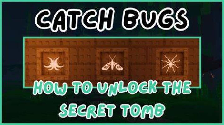 Unlock The Secrets Of Catch Body Meaning: A Journey Of Discovery
