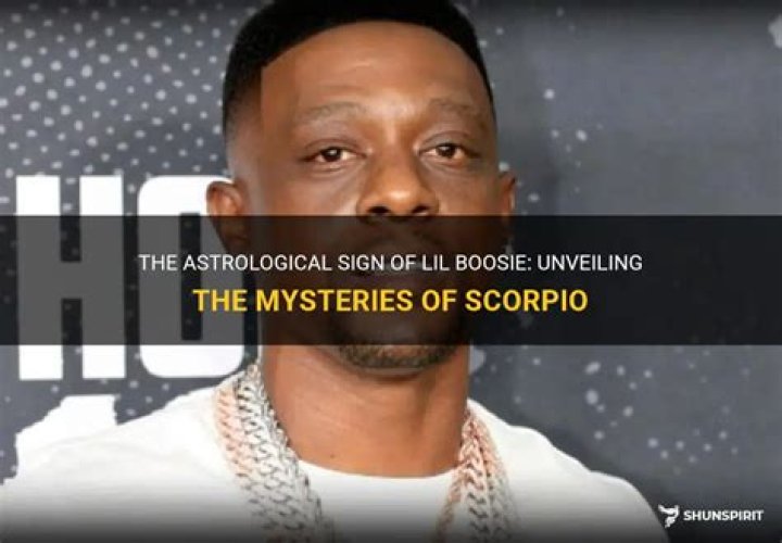 Unveiling Lil Boosie's Financial Journey: Discoveries From His 2005 Net Worth
