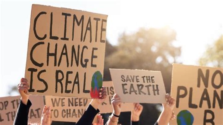 Unveiling The Work Of Climate Change Advocate Charlotte Samco Crawford