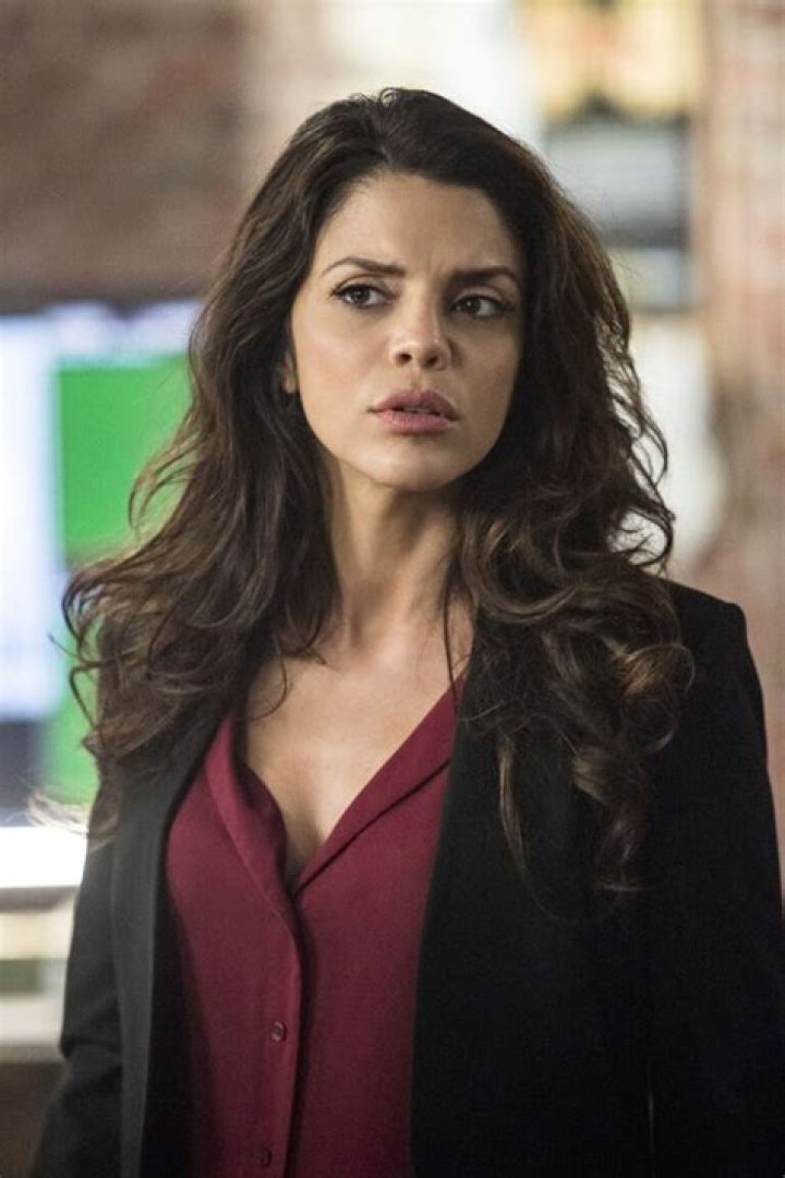 Vanessa Ferlito Age, Career, Bikini Photos, Net worth and Husband
